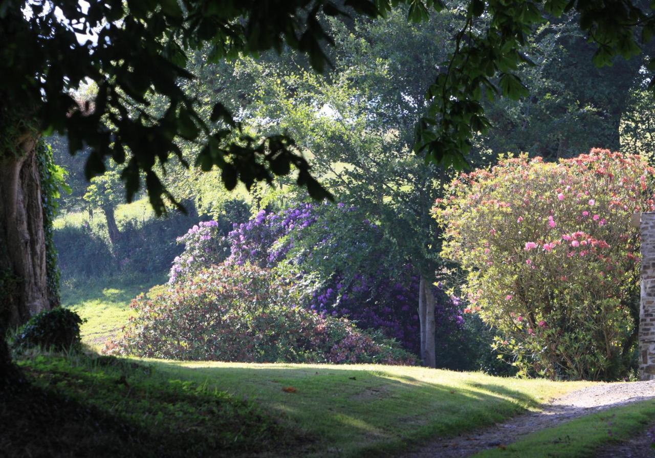 Devon Country Paradise Tavistock  Exterior photo